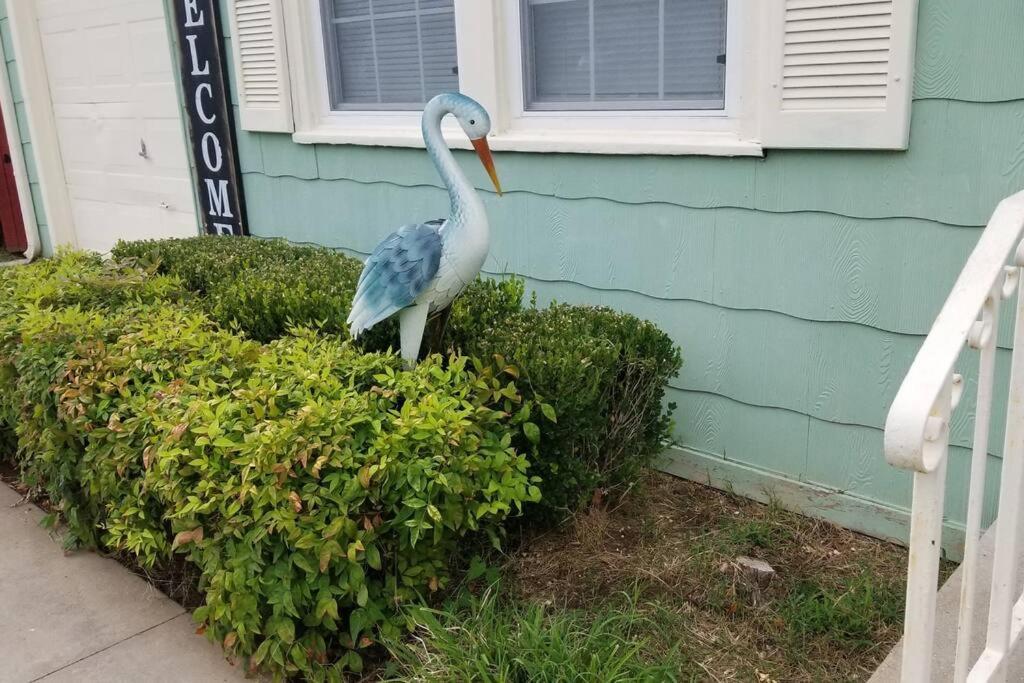 Blue Flamingo'S Charming Home-Heart Of Tulsa2- Cherry St-Expo-11Th Esterno foto